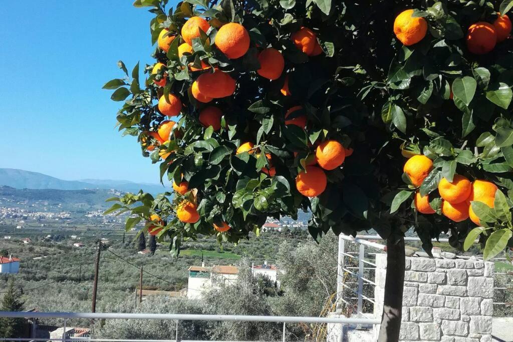 Nafplio, Hill With An Amazing View Exterior foto