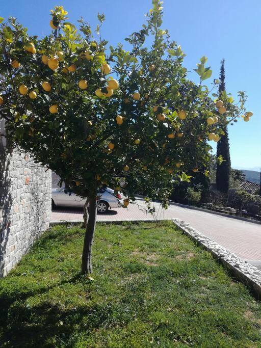 Nafplio, Hill With An Amazing View Exterior foto